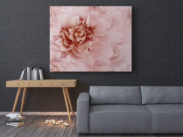 Une image de roses pivoine – Image 3