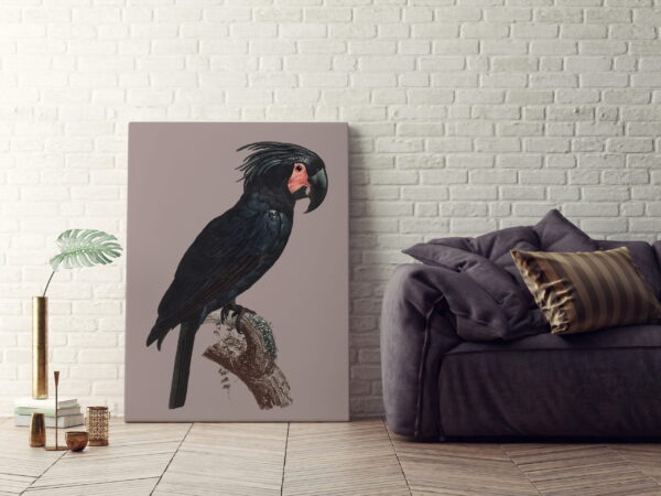 Une image d'un perroquet noir – Image 3