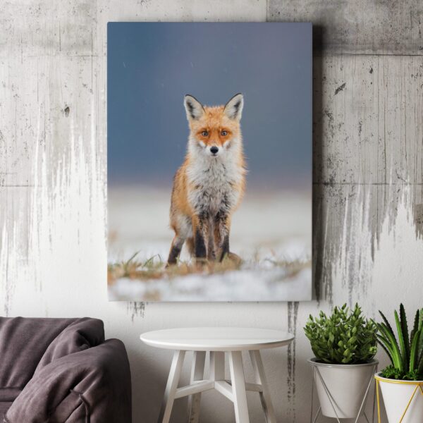 Image d'un renard dans le champ – Image 3
