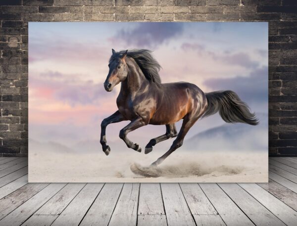 Image d'un cheval au galop
