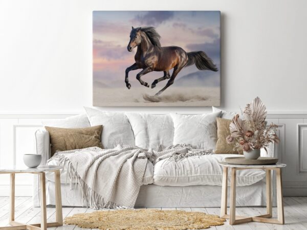 Image d'un cheval au galop – Image 3
