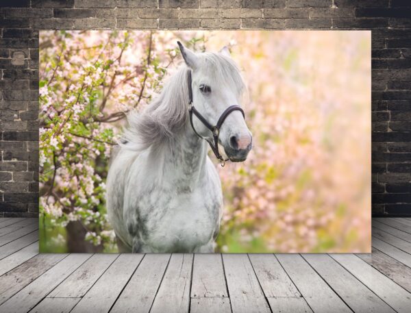 L'image d'un cheval parmi les fleurs