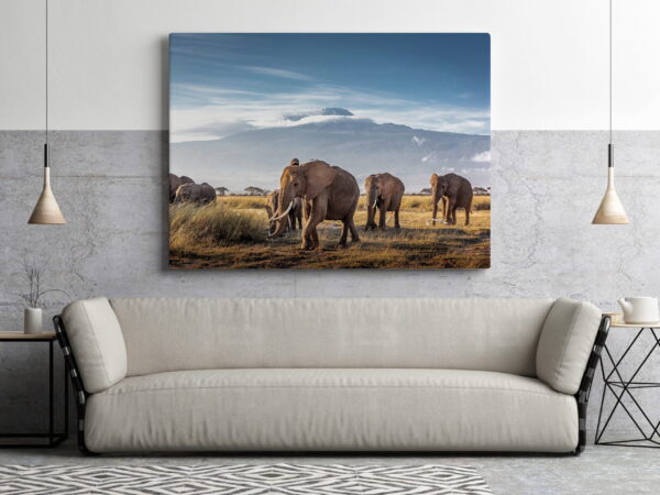 Une image d'un troupeau d'éléphants – Image 3
