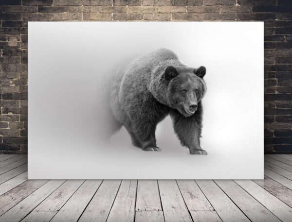 Image d'un ours dans le brouillard