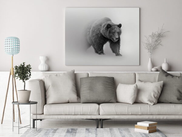 Image d'un ours dans le brouillard – Image 3