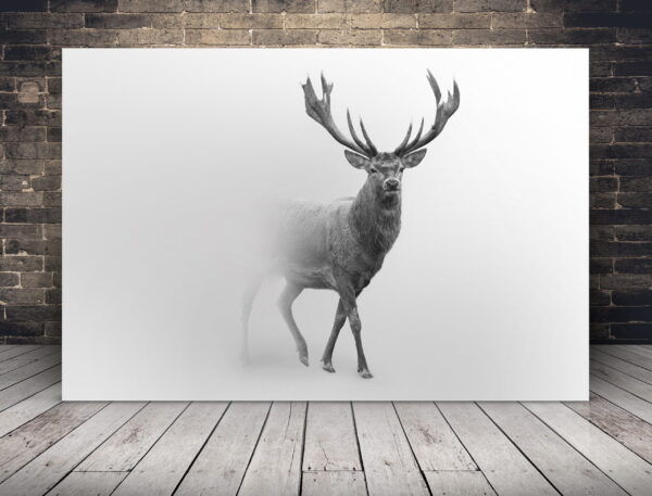 Une image d'un cerf dans la brume