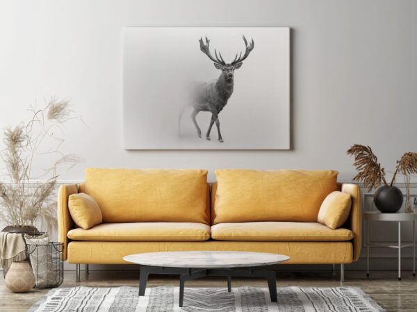 Une image d'un cerf dans la brume – Image 3