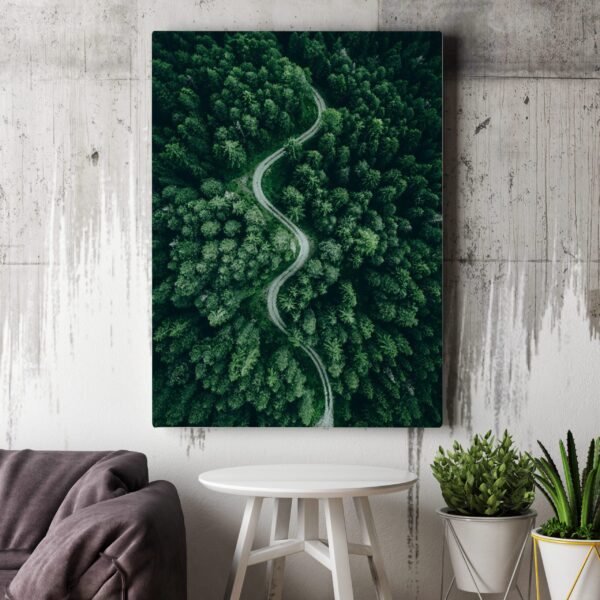 Image de la route forestière – Image 3