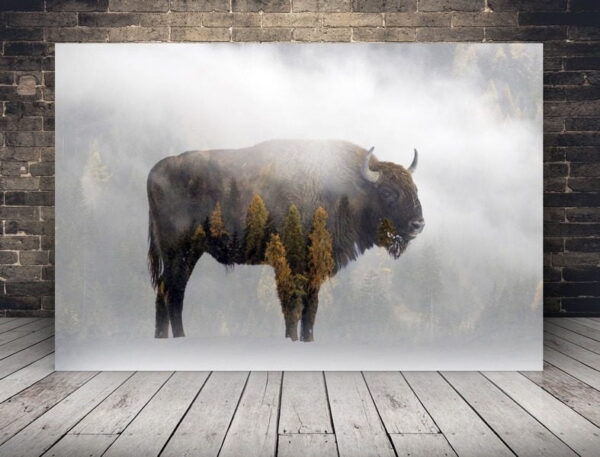 Image d'un bison d'Europe