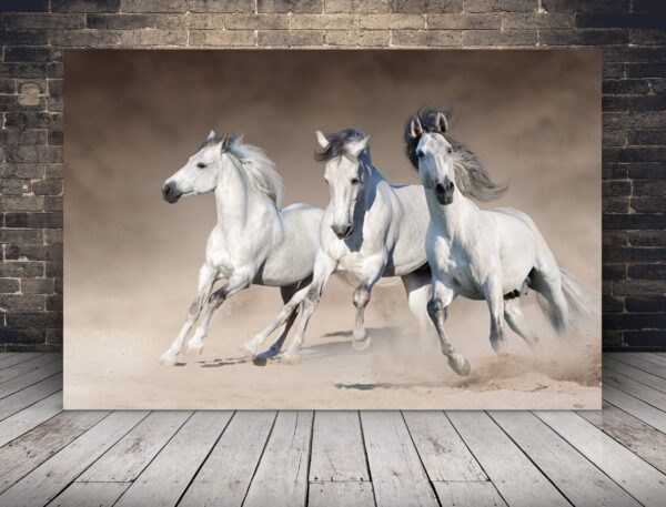 Image de trois chevaux de course