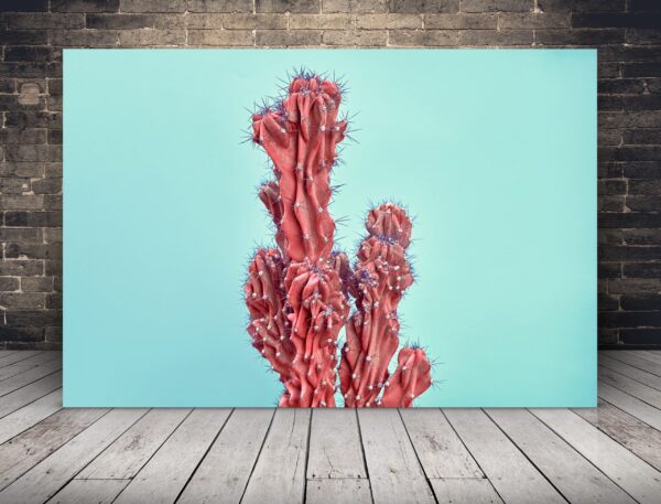 Une image d'un cactus rouge