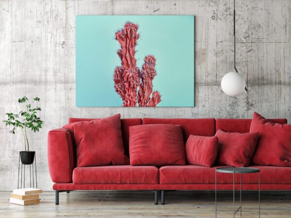Une image d'un cactus rouge – Image 3