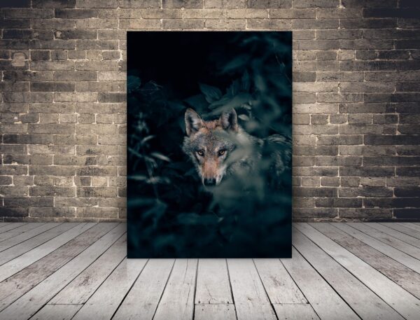 Image d'un loup dans la brume