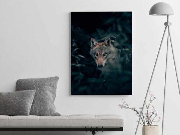 Image d'un loup dans la brume – Image 3