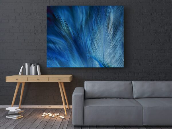 Une image de plumes bleues – Image 3