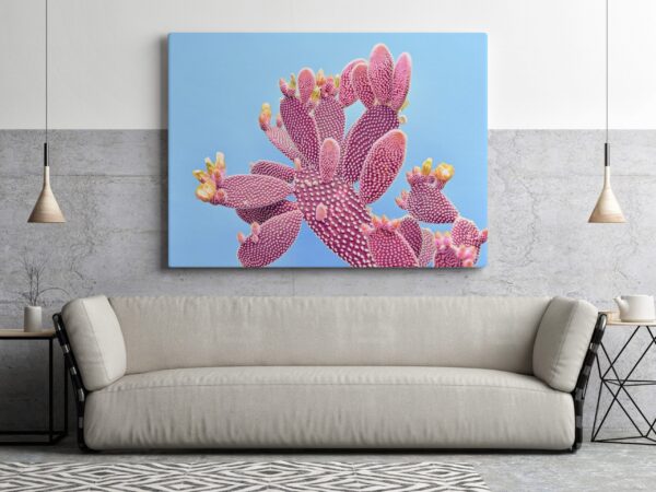 Une image d'un cactus rose – Image 3