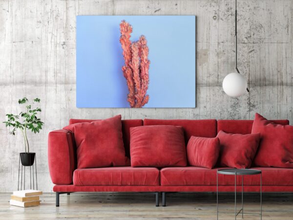 Une image d'un cactus en rose – Image 3