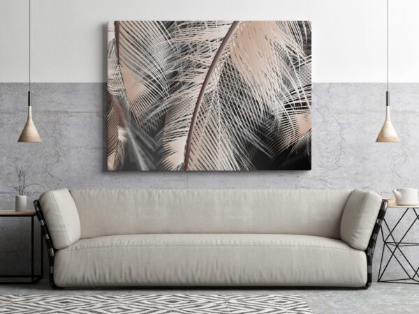 Image d'une plume en gris – Image 3
