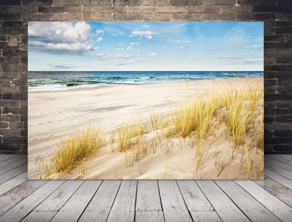 Une image d'une plage dorée