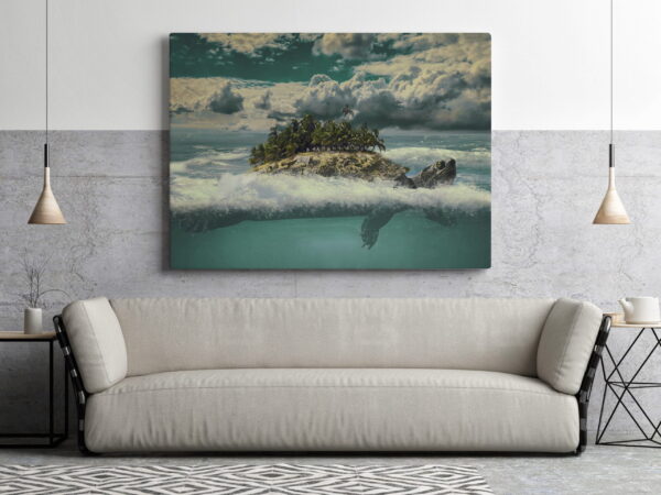 Image de la tortue paradisiaque – Image 3
