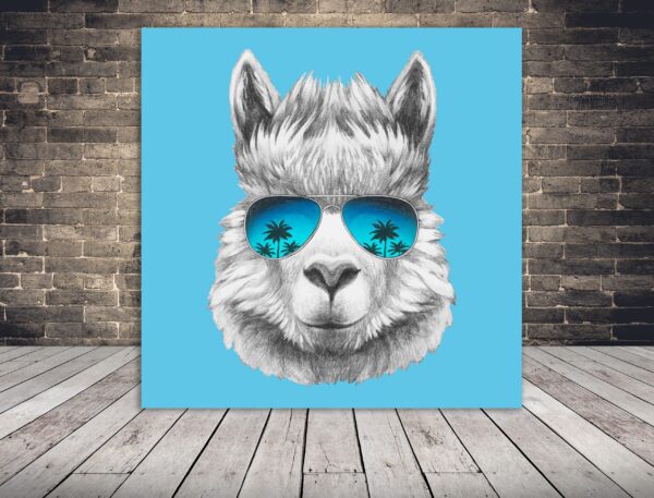 Image de Lama avec des lunettes