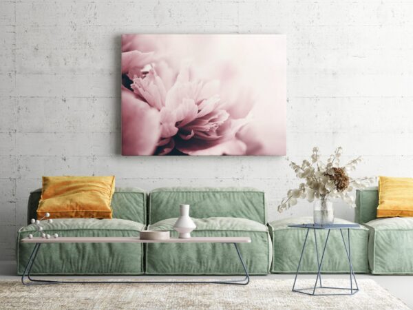 Image de pivoine beige – Image 3