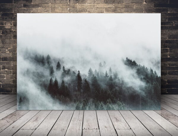 Image d'une forêt dans la brume