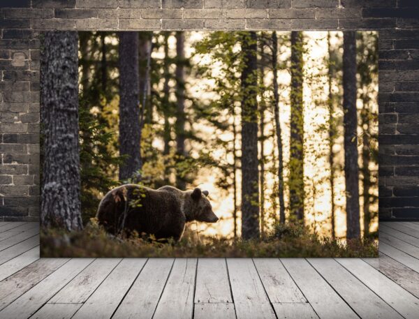 Peinture Ours dans la forêt
