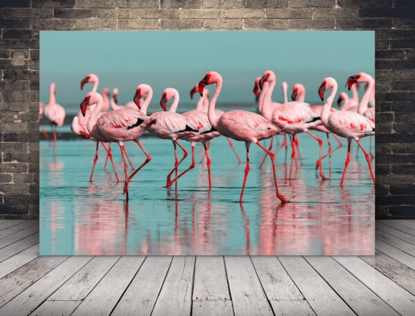 Une image de flamants roses dans l'eau