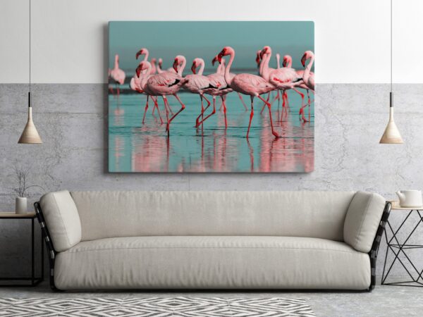 Une image de flamants roses dans l'eau – Image 3