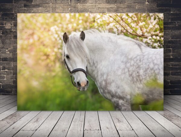 Une image d'un portrait d'un cheval blanc