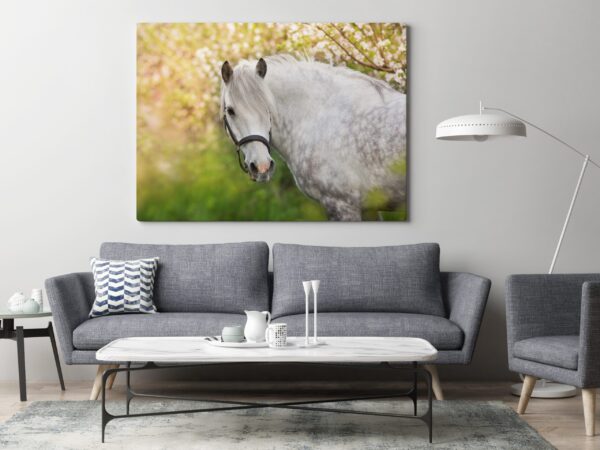 Une image d'un portrait d'un cheval blanc – Image 3