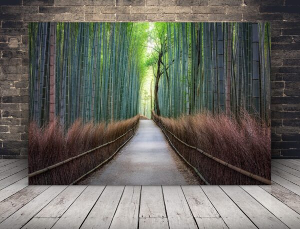 Image d'une forêt au Japon
