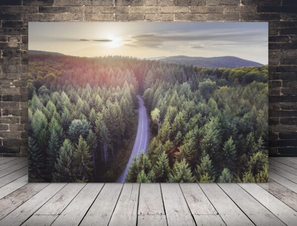 Une image d'une route à travers la forêt