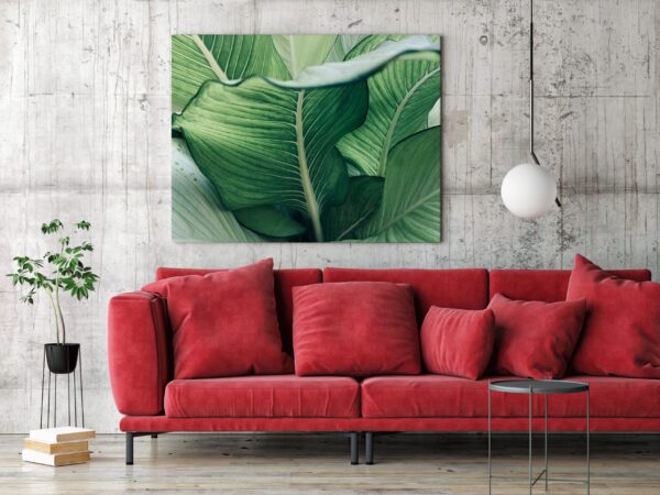 Image de feuille tropicale – Image 3