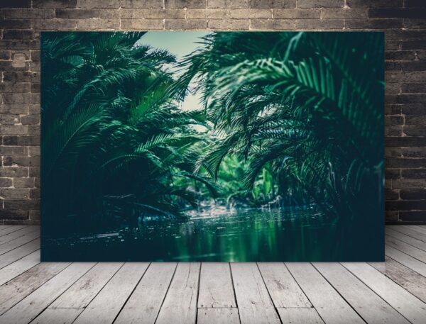 Photo de la jungle