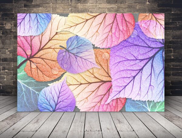 Image de feuilles colorées