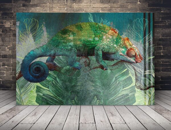 Image d'un caméléon