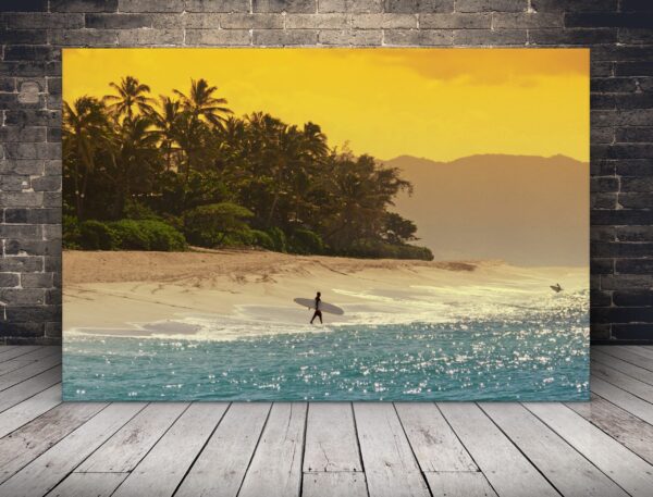 Image d'un surfeur hawaïen