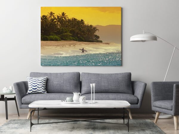 Image d'un surfeur hawaïen – Image 3