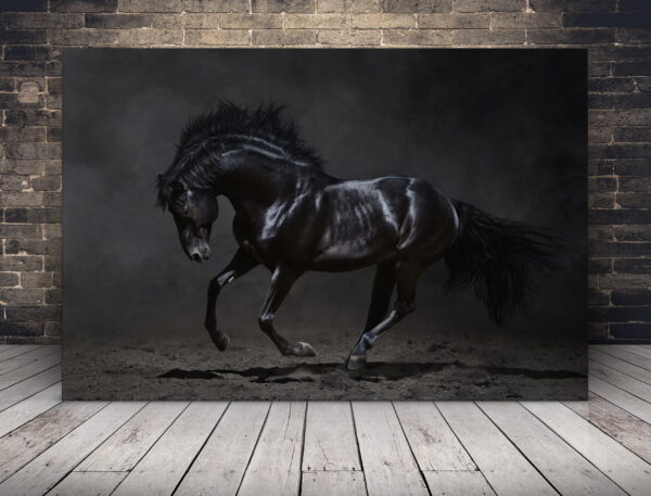 Image d'un cheval noir