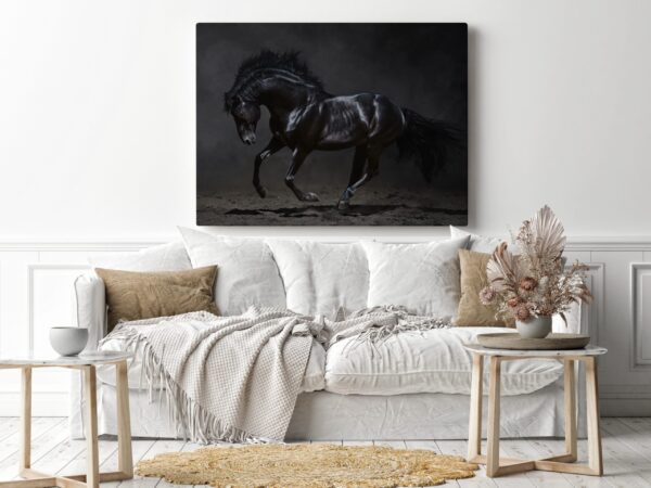 Image d'un cheval noir – Image 3