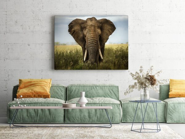 Une image d'un éléphant – Image 3
