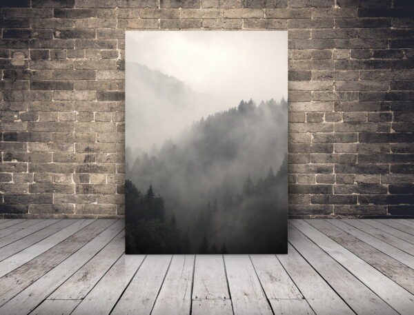 Image d'une forêt dans la brume