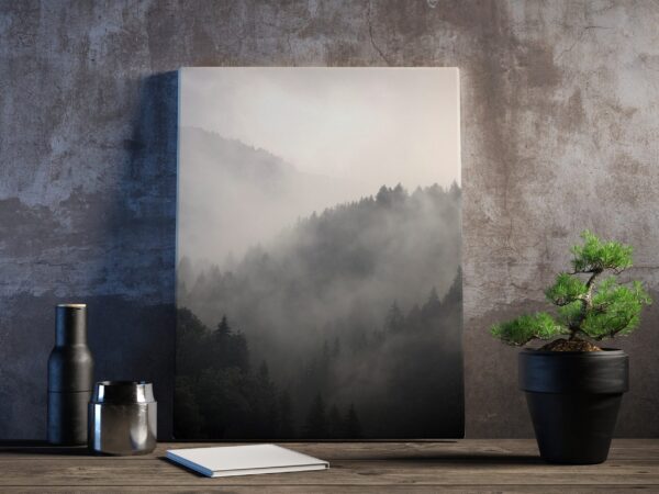 Image d'une forêt dans la brume – Image 3