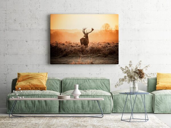 Image d'un cerf dans le rut – Image 3