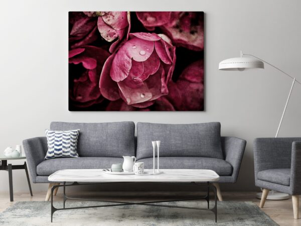 Une image de pivoines roses – Image 3