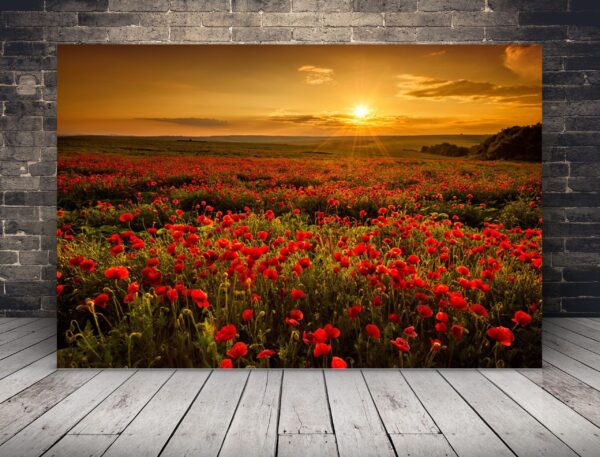 Photo de coquelicots à propos de West