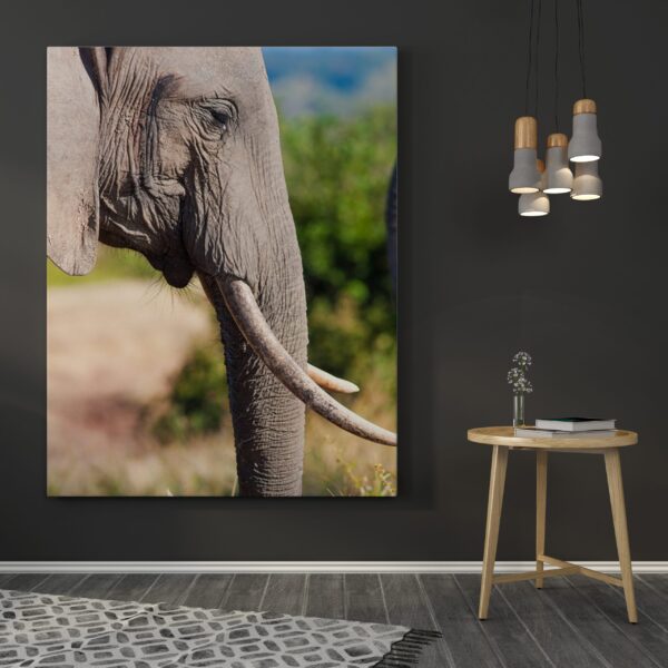 Une image d'un éléphant de profil – Image 3