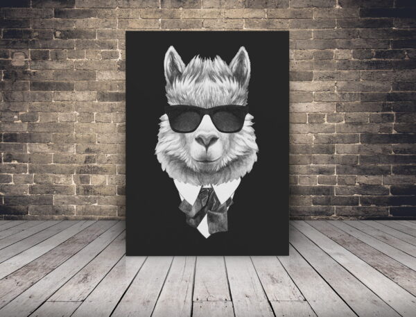 Image d'un lama en chemise